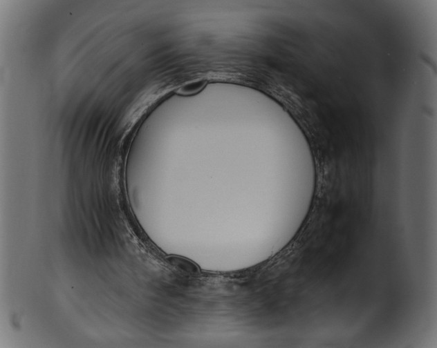 X0000101220098200807181601