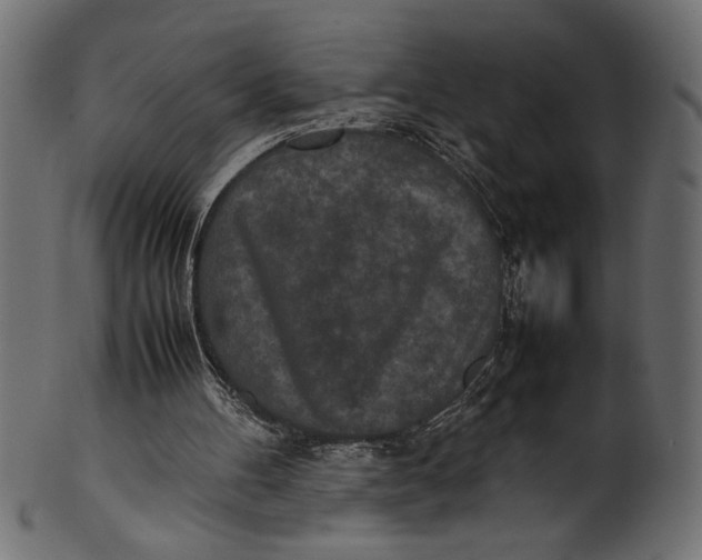 X0000101220100200807181601