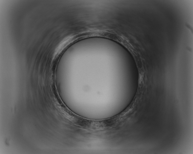X0000101220101200807181601