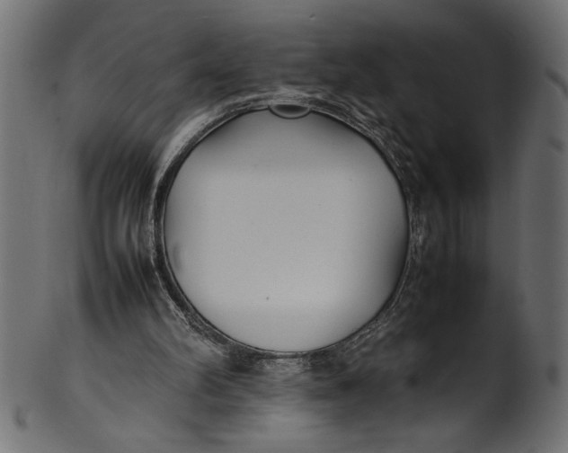 X0000101220102200807181601
