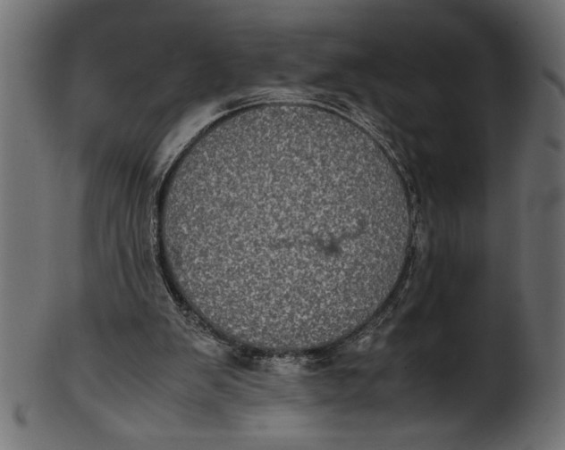 X0000101220103200807181601