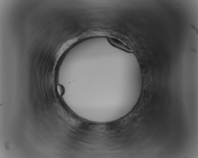 X0000101220104200807181601
