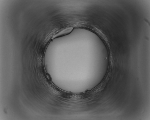 X0000101220105200807181601