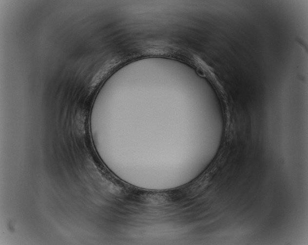 X0000101220106200807181601