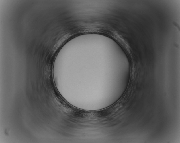 X0000101220107200807181601