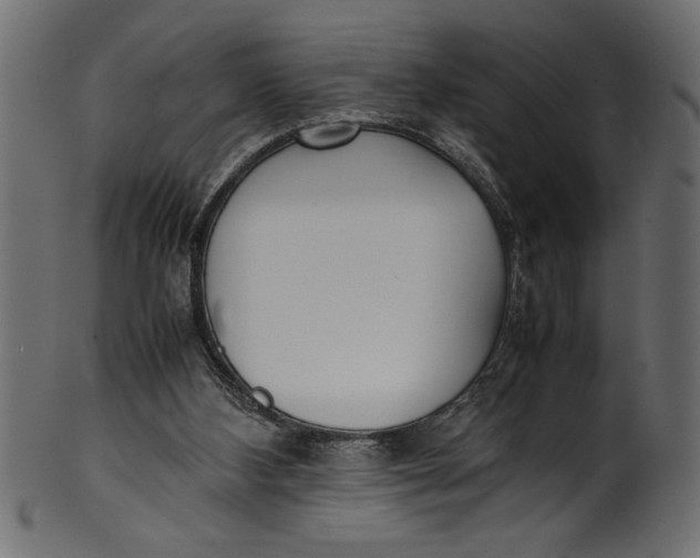 X0000101220108200807181601