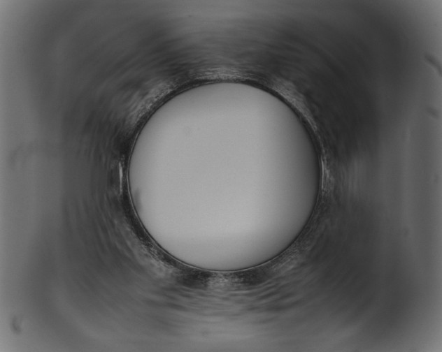X0000101220109200807181601
