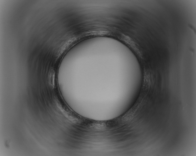 X0000101220110200807181601
