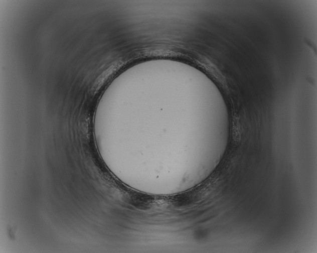 X0000101220111200807181601