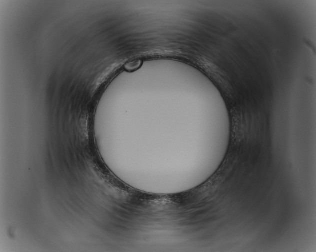 X0000101220112200807181601