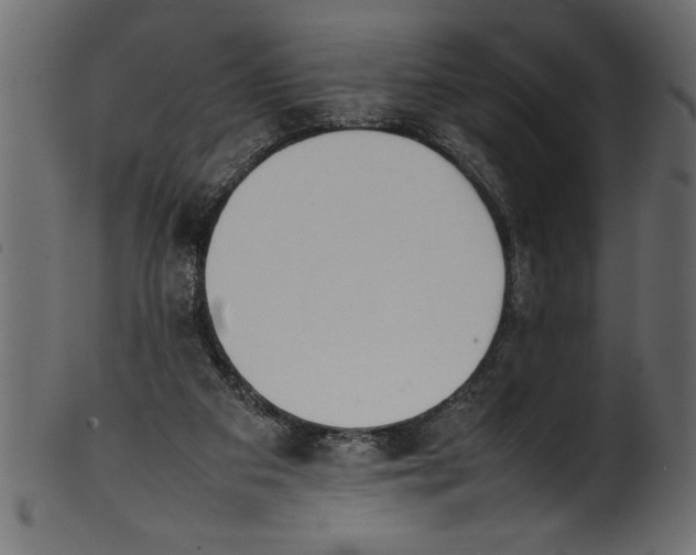 X0000101220113200807181601