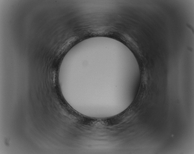 X0000101220115200807181601