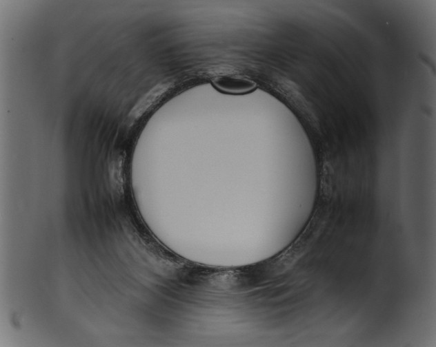 X0000101220116200807181601