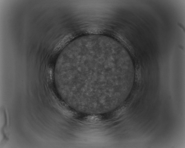 X0000101220117200807181601