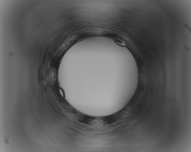 X0000101220119200807181600