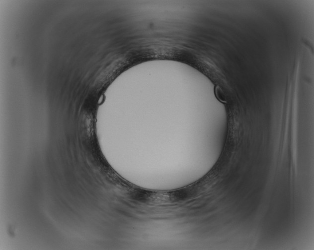 X0000101220123200807181600