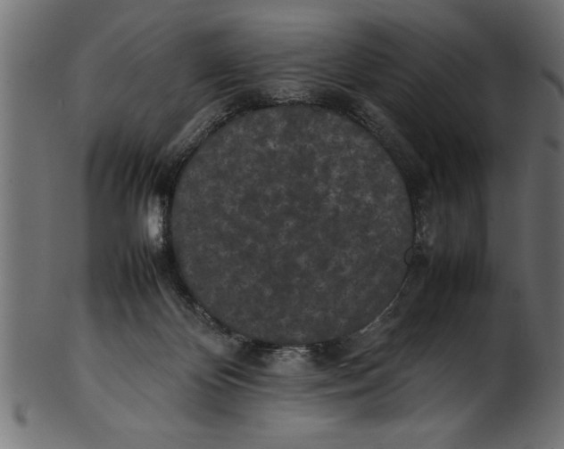 X0000101220124200807181600