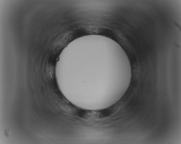 X0000101220125200807181600