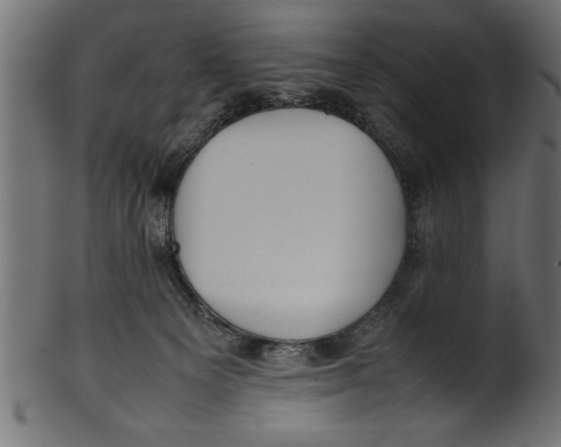 X0000101220129200807181600