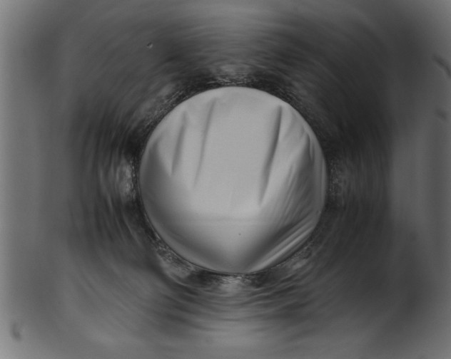 X0000101220130200807181600