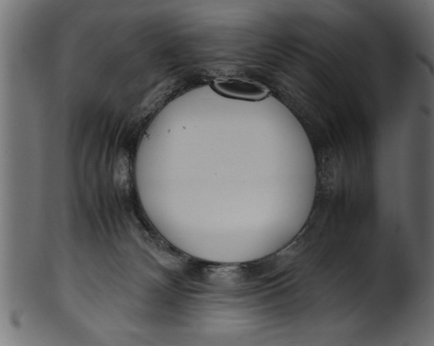 X0000101220132200807181600