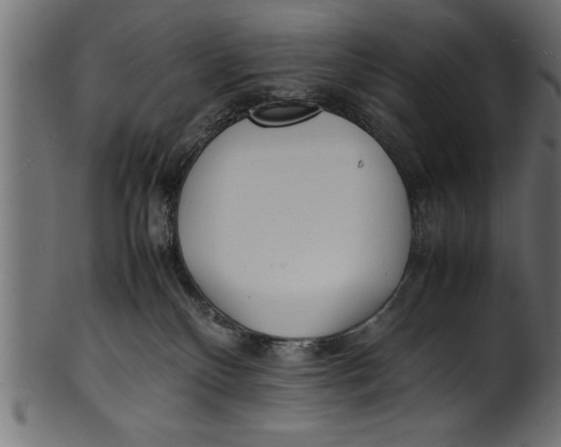 X0000101220136200807181600