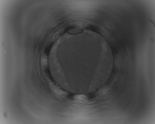 X0000101220137200807181600