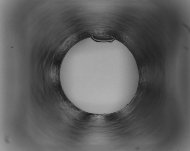 X0000101220140200807181600