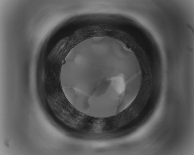 X0000101220143200807181600