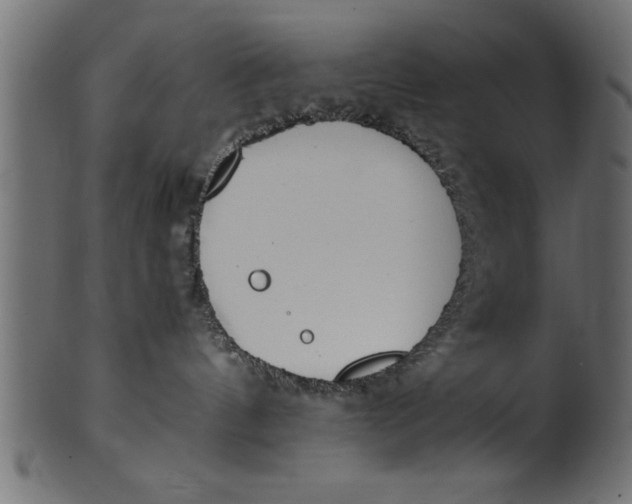 X0000101220144200807181600