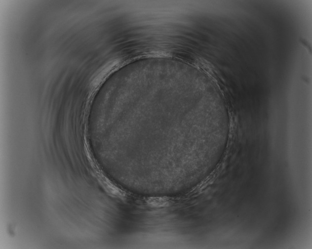 X0000101220145200807181559