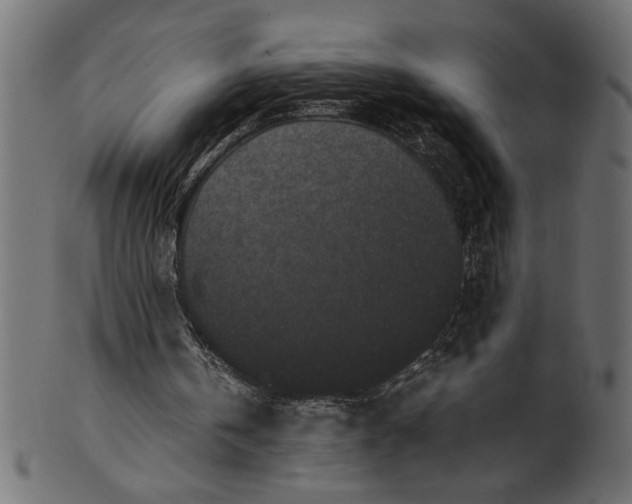 X0000101220146200807181559