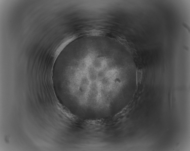 X0000101220147200807181559