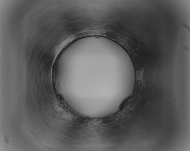 X0000101220148200807181600