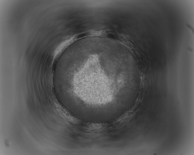 X0000101220149200807181600