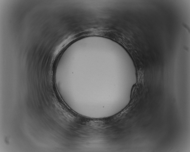X0000101220150200807181600