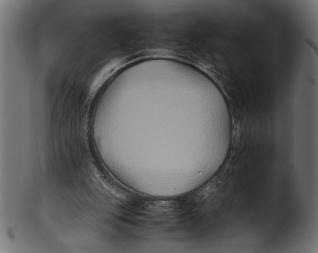 X0000101220151200807181600