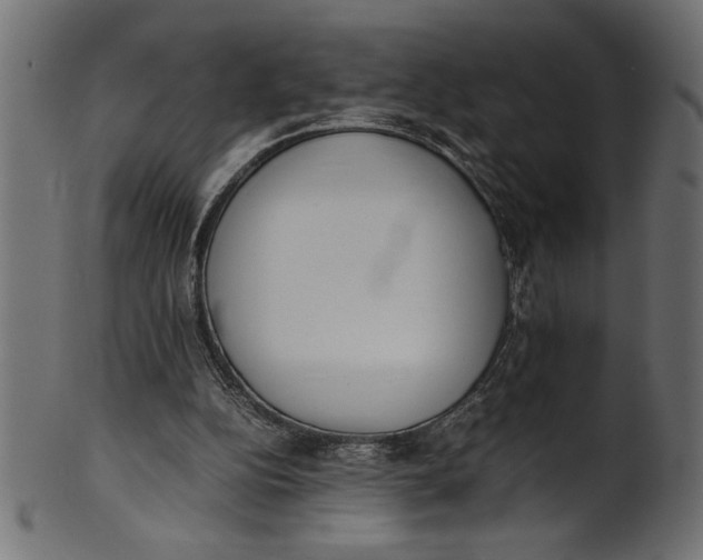 X0000101220152200807181600