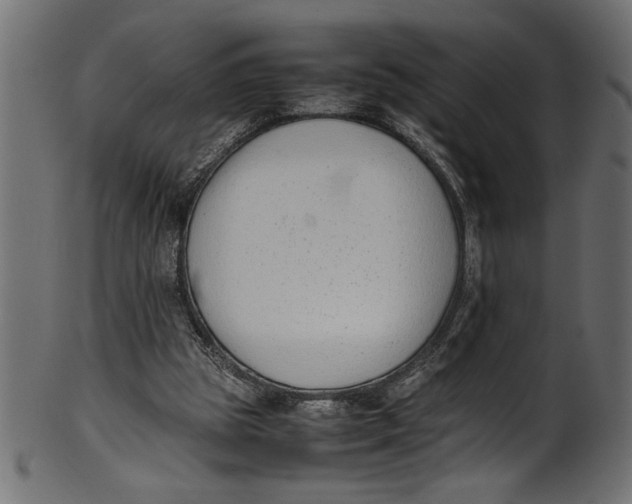 X0000101220153200807181600