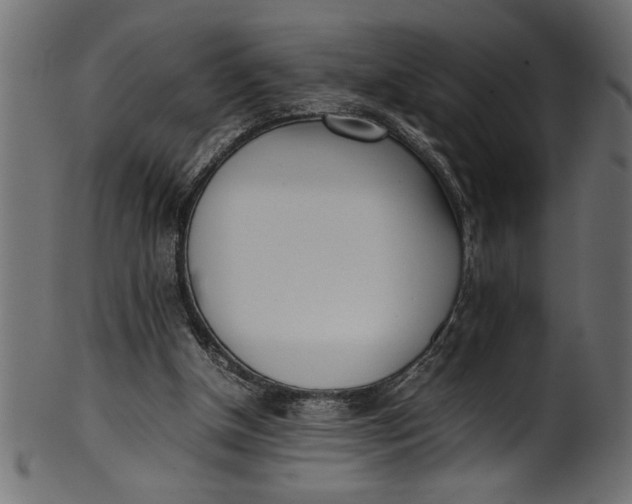 X0000101220154200807181600