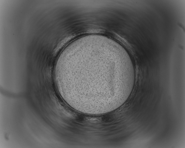 X0000101220155200807181600