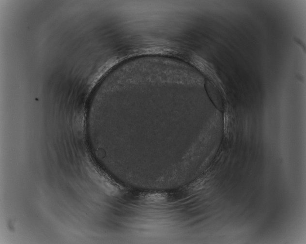 X0000101220156200807181600