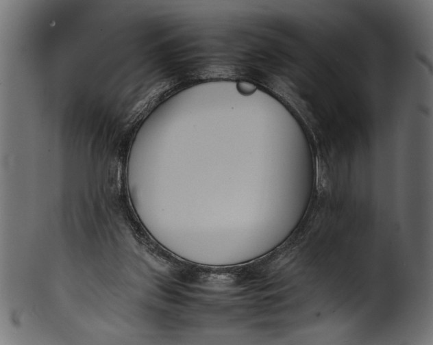 X0000101220157200807181600