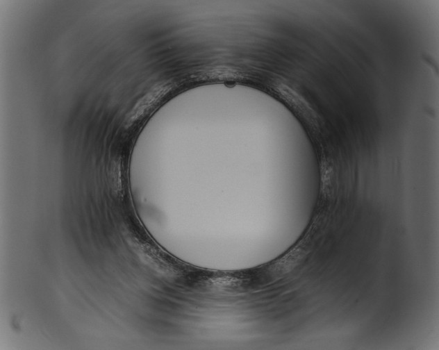 X0000101220158200807181600