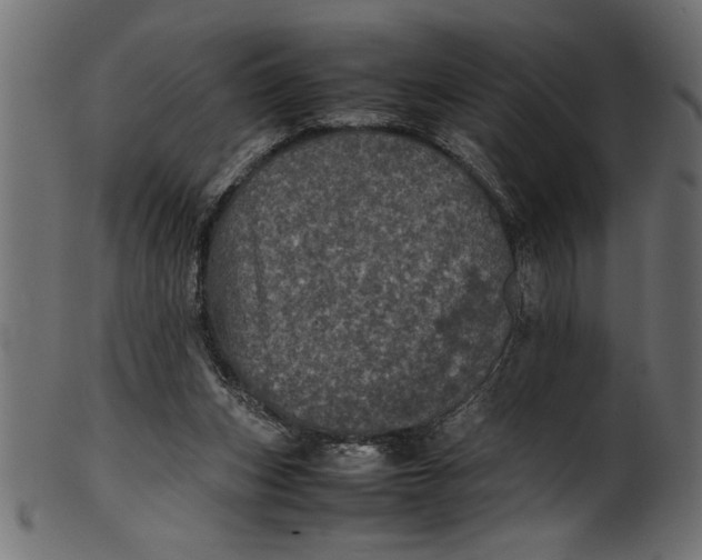 X0000101220159200807181600