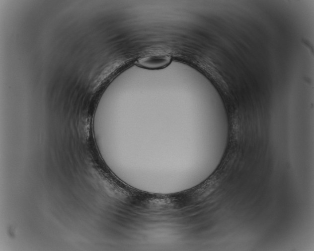 X0000101220160200807181600