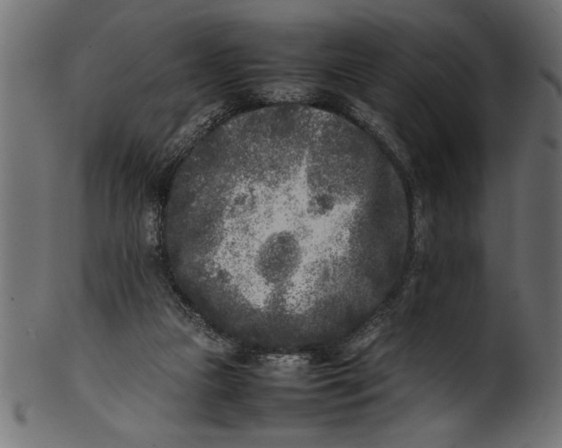 X0000101220161200807181600