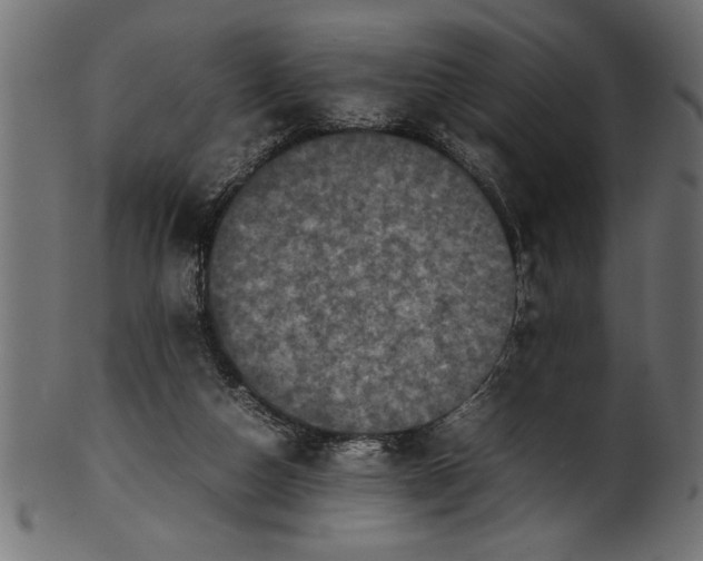 X0000101220162200807181600