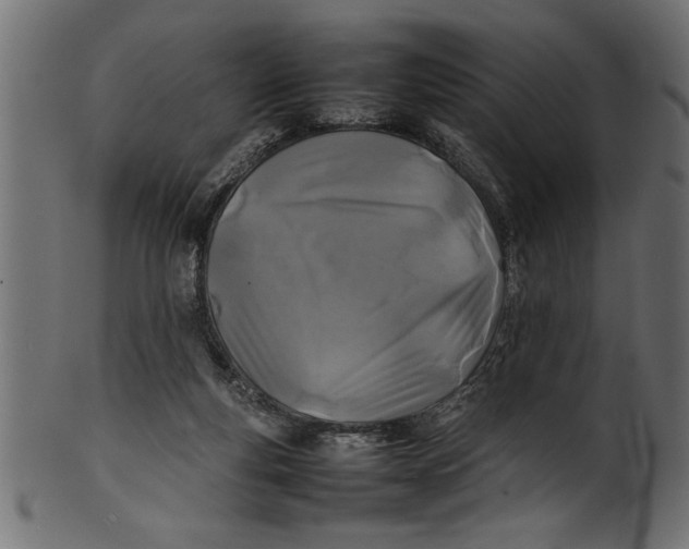 X0000101220163200807181600