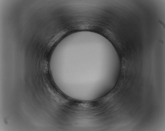 X0000101220164200807181600